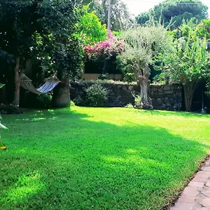 Bouganville Viagrande